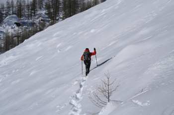 Fuori dal bosco, su una pietraia.